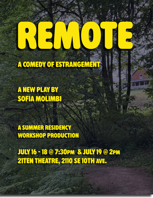 Summer Residency: Remote